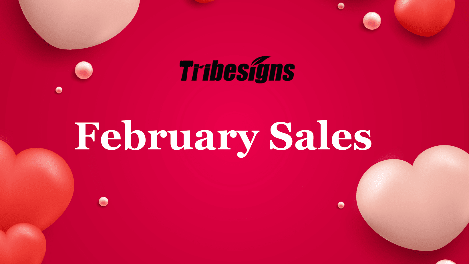 Tribesigns 2026 February Sales