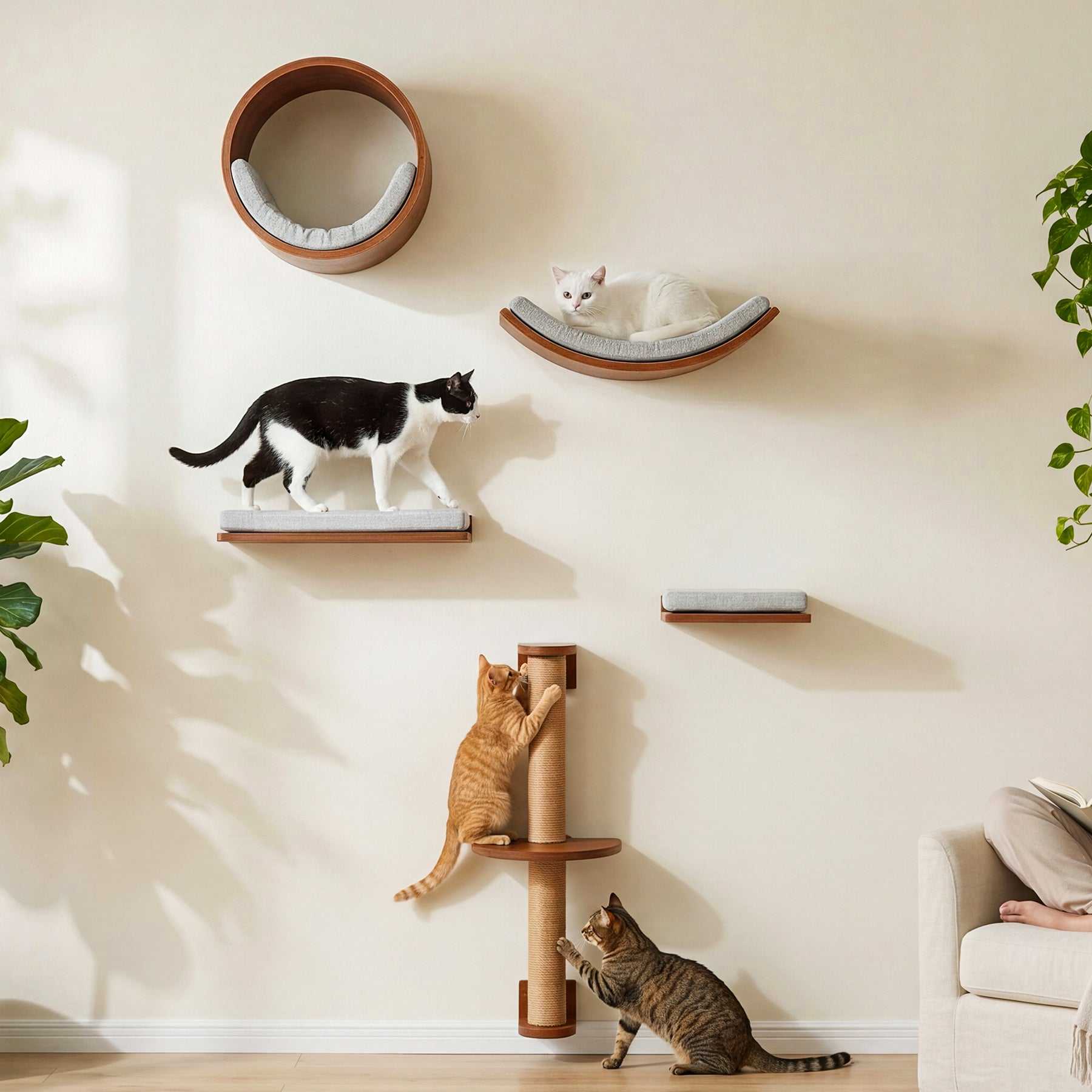 Solid Wood Cat Wall Shelves Set, 5-in-1 Cat Wall Furniture Cat Perches Set for Living Room