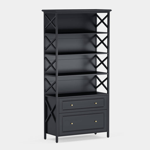 File Cabinet, 2 Drawer Vertical Filling Cabinet with Storage Shelves Tribesigns