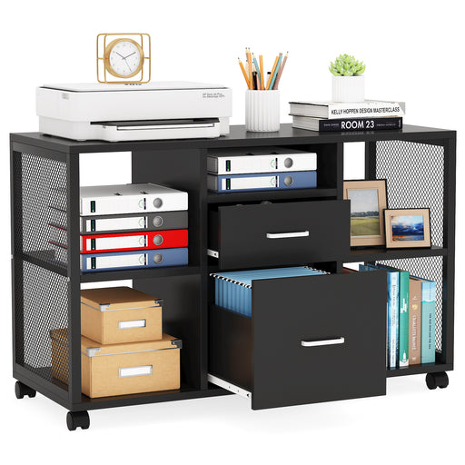 File Cabinet, 2-Drawer Mobile Filing Cabinets Printer Stand Tribesigns