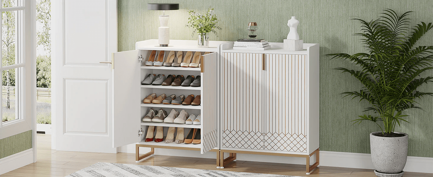 Modern Shoe Cabinet with Doors