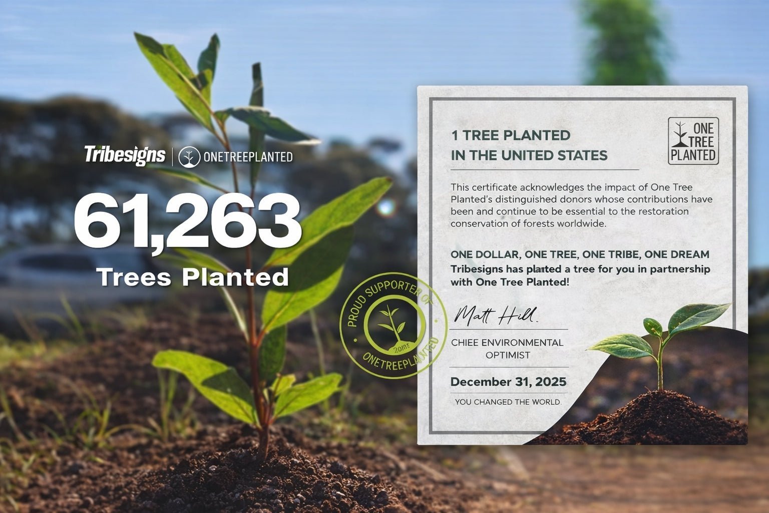 Tribesigns Plants 61,263 Trees by End of 2025 via Partnership with One Tree Planted