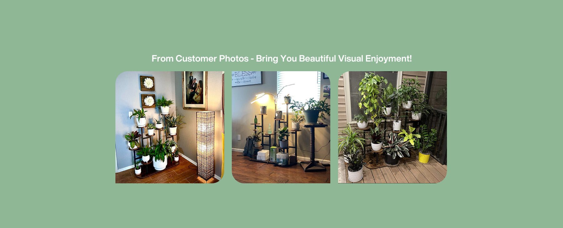 The 10 Best Plants for an Indoor Plant Stand - Tribesigns