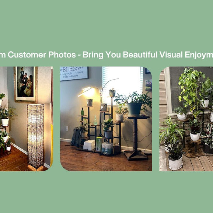 The 10 Best Plants for an Indoor Plant Stand - Tribesigns