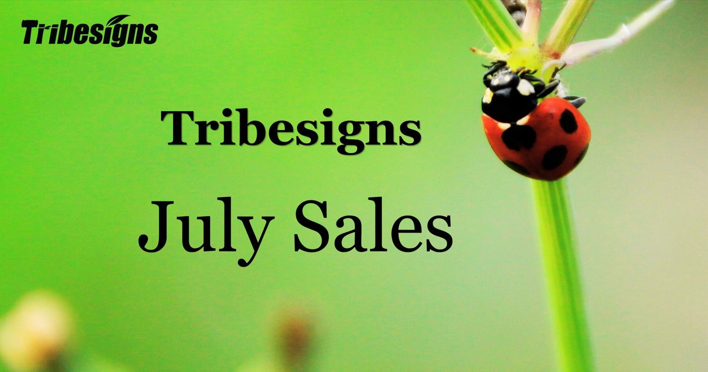 Tribesigns July Sales: Huge Summer Deals