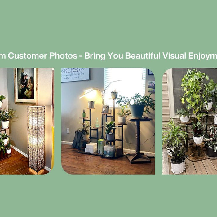 Tribesigns Plant Stands: Embrace Your Green Home This Summer - Tribesigns