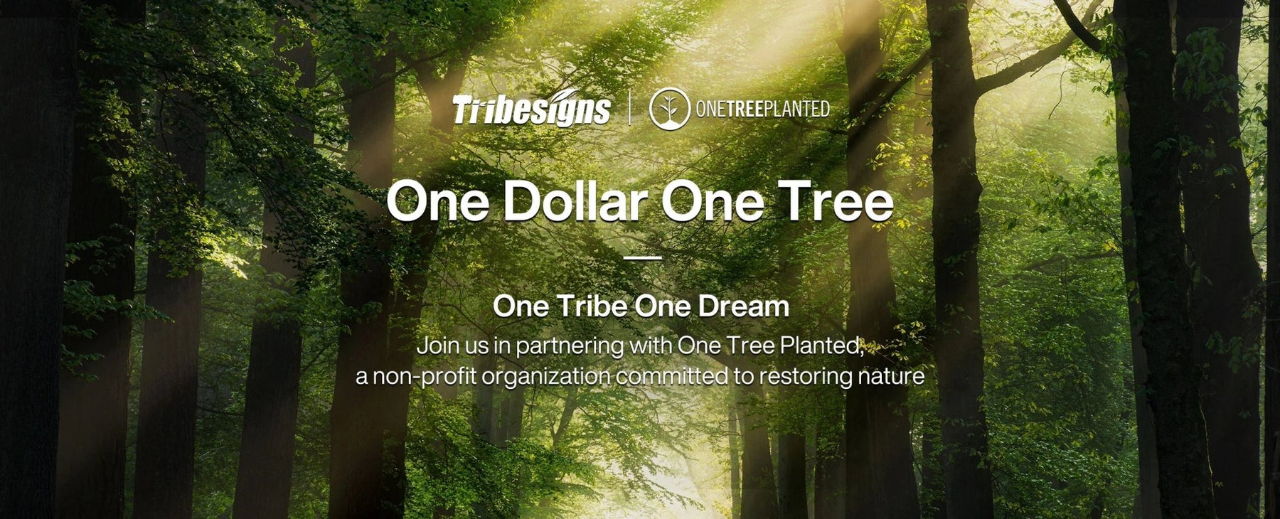 Tribesigns Planted 19,000 Trees Through One Tree Planted Reforestation Partnership - Tribesigns