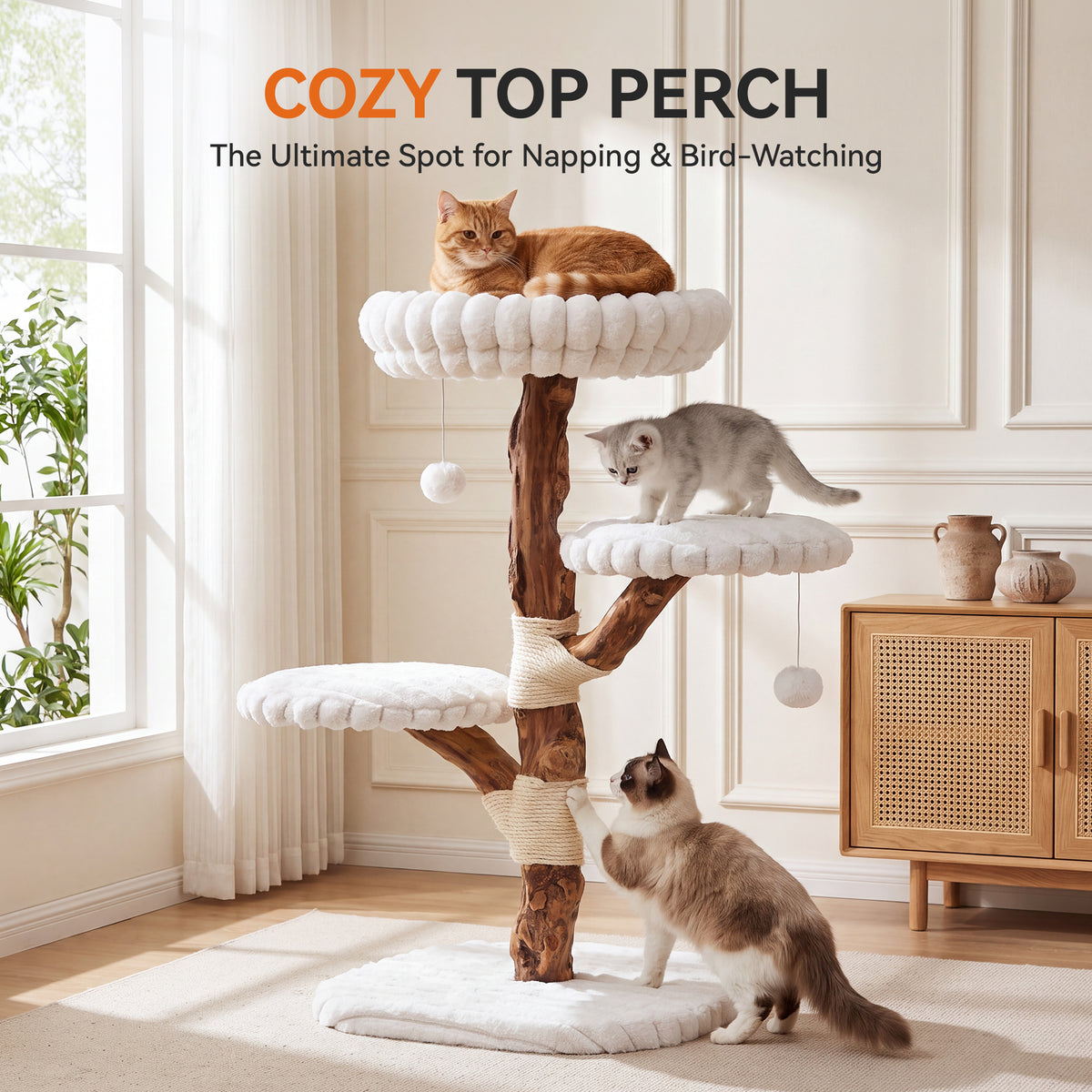 32" Tall Solid Wood Cat Tree with Scratching Posts, Modern Multi-Level Kitten Tower