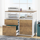 Lockable File Cabinet with Drawers and Printer Stand 3