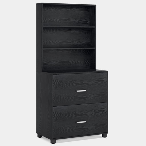 File Cabinet, Vertical Printer Stand with 2 Drawers & Storage Shelves Tribesigns