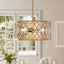 13" Pendant Lights, 2-Light Modern Chandelier with Adjustable Height