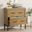 2-Drawer File Cabinet, Lateral Storage Cabinet Printer Stand