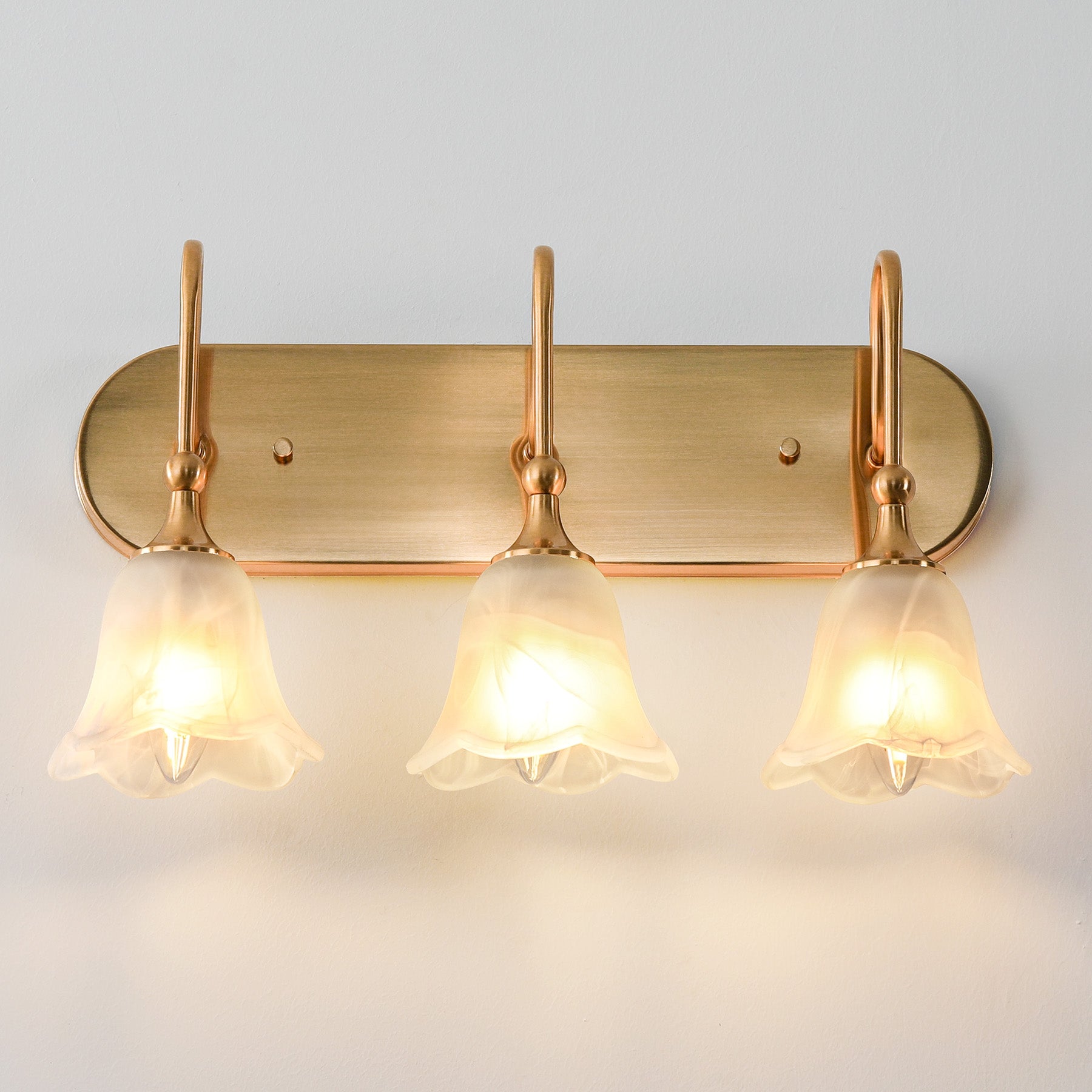 3-Light Light Fixtures, Modern Wall Lights Bathroom Vanity with Clear Glass Shades