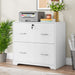 File Cabinet, Modern Lateral Storage Cabinet with 2-Drawer Tribesigns