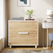31.5" File Cabinet, Stylish Storage Filing Cabinet Printer Stand with 2 Drawers Tribesigns