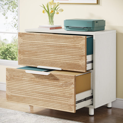31.5" File Cabinet, Stylish Storage Filing Cabinet Printer Stand with 2 Drawers Tribesigns