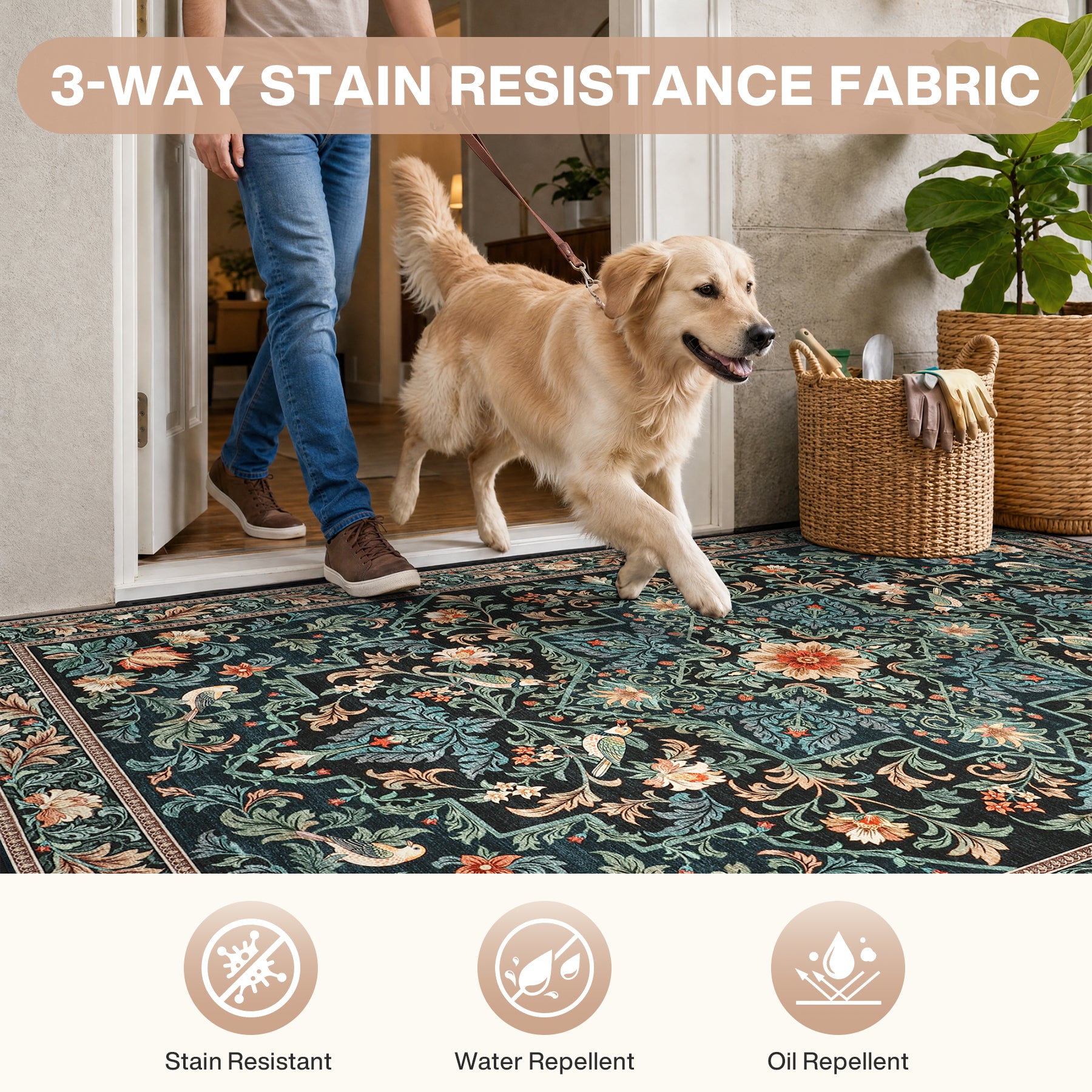 Floral Bird Area Rug, Machine Washable Boho Rug in Green & Blue, 5x7 / 8x10, Non-Slip Indoor Outdoor Living Room