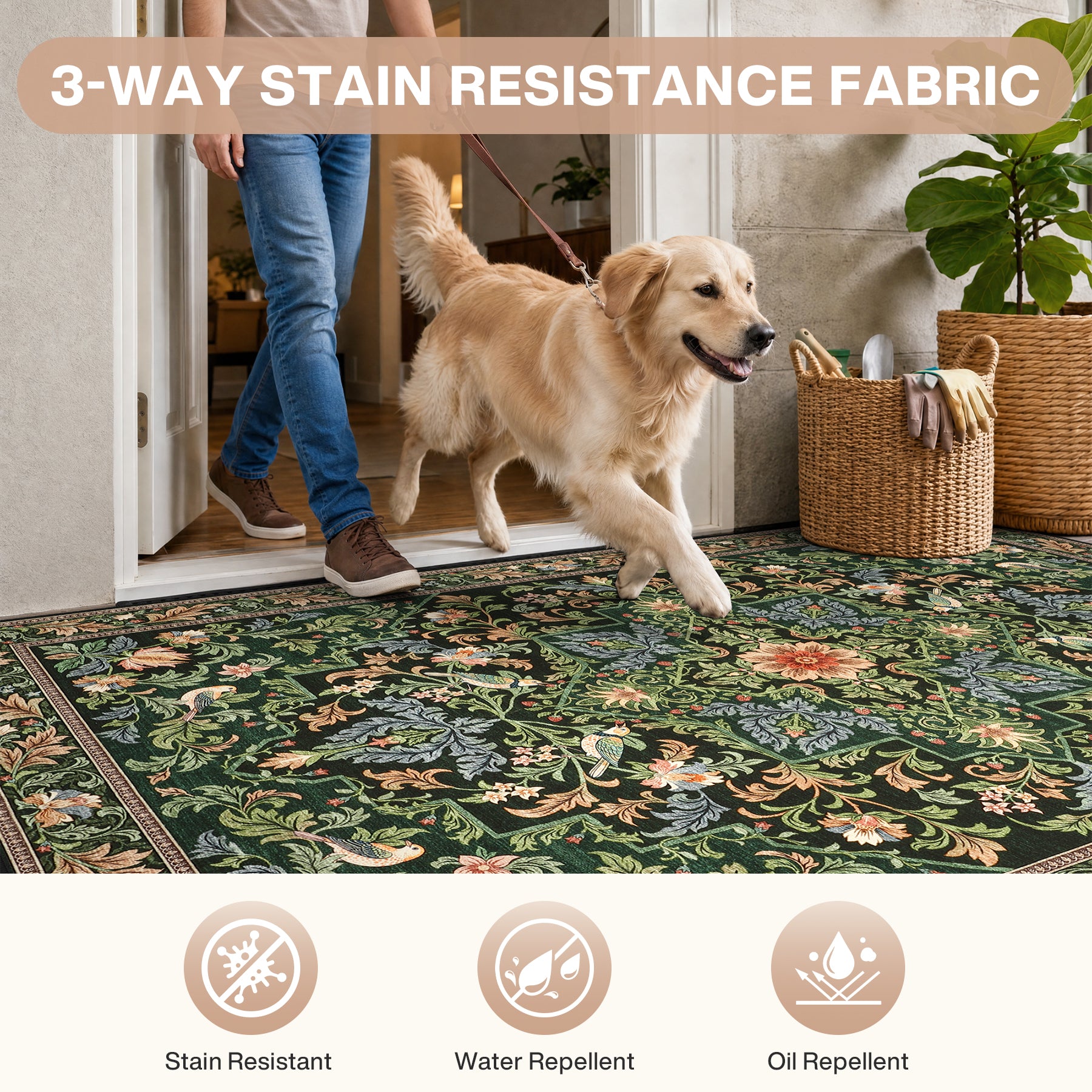 Floral Bird Area Rug, Machine Washable Boho Rug in Green & Blue, 5x7 / 8x10, Non-Slip Indoor Outdoor Living Room