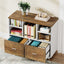 2-Drawer File Cabinet, Mobile Lateral Filing Cabinet with Shelves