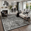 5x7 Zebra Print Washable Area Rug#Color_Black