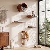Solid Wood Cat Wall Shelves Set, 5-in-1 Cat Wall Furniture Cat Perches Set for Living Room 3