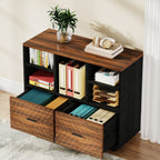 2-Drawer File Cabinet, Mobile Lateral Filing Cabinet with Shelves