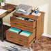 File Cabinet, 2 Drawer Storage Filing Cabinet with Solid Wood Legs Tribesigns