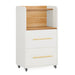 File Cabinet, 2 Drawer Rolling Filing Cabinet with Open Shelves Tribesigns
