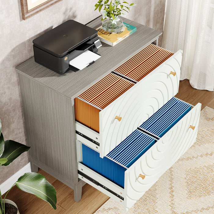 Lateral File Cabinet, Modern Filing Storage Cabinet with 2 Drawers Tribesigns