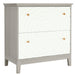 Lateral File Cabinet, Modern Filing Storage Cabinet with 2 Drawers Tribesigns