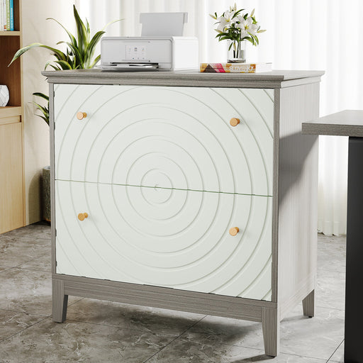 Lateral File Cabinet, Modern Filing Storage Cabinet with 2 Drawers Tribesigns