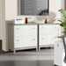 Lateral File Cabinet, Modern Filing Storage Cabinet with 2 Drawers Tribesigns