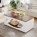 Rectangle Coffee Table, Wood Center Table With Open Storage Tribesigns