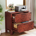 Retro File Cabinet, Storage Cabinet with 2 Storage Drawers Tribesigns