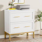 Tribesigns's 2-Drawer File Cabinet, Lateral Storage Cabinet Printer Stand.