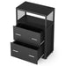 Tribesigns 2 - Drawer File Cabinet, Letter/Legal / A4 Size Filing Cabinet with Lock Tribesigns