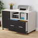 File Cabinet, Modern Mobile Filing Cabinet with Lock and Drawer Tribesigns