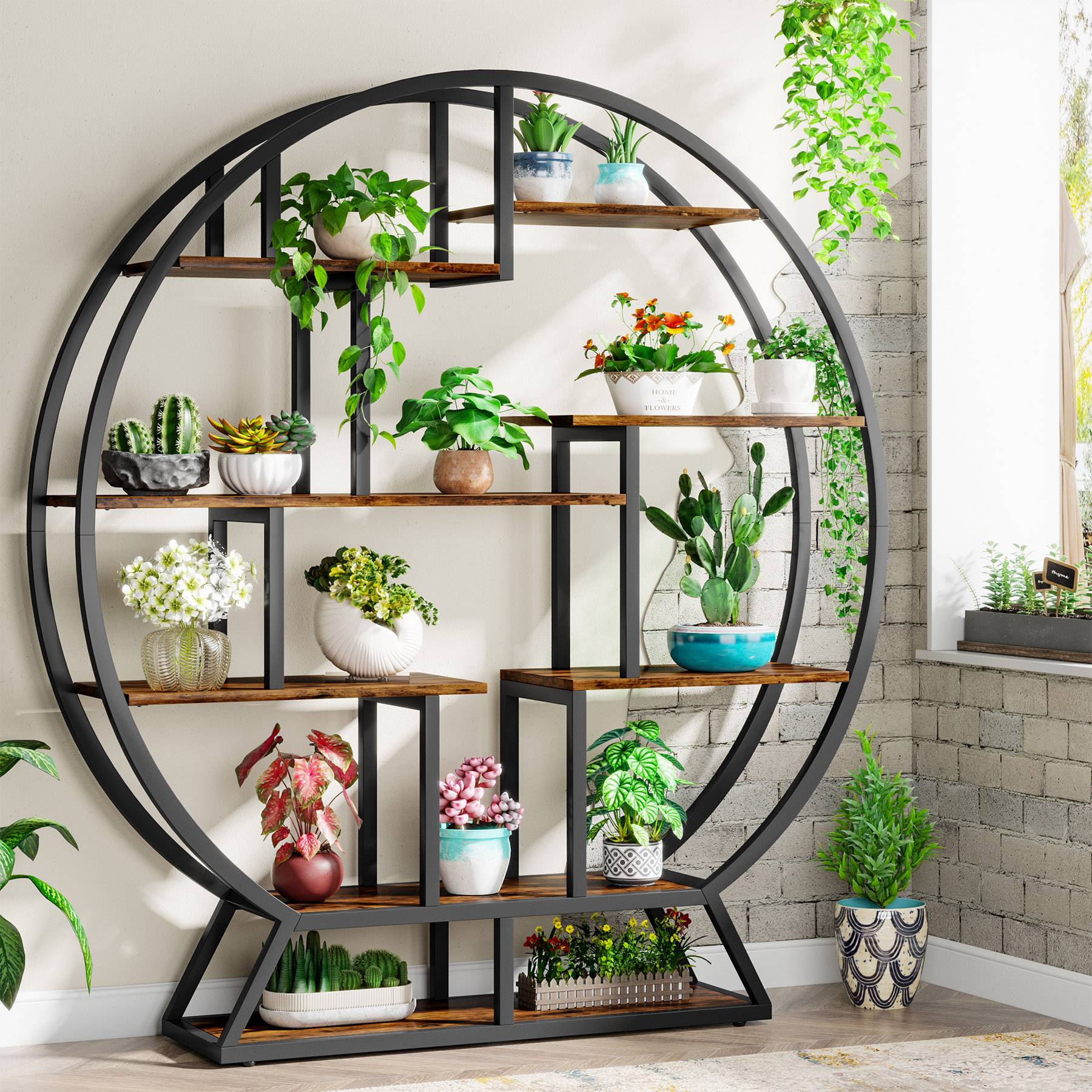 Wall Mount Plant Holder Rotating Window Plant Stand - 180° Oval Black ...