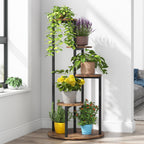 Tall 4-tier indoor plant stand with multiple potted plants beside a window