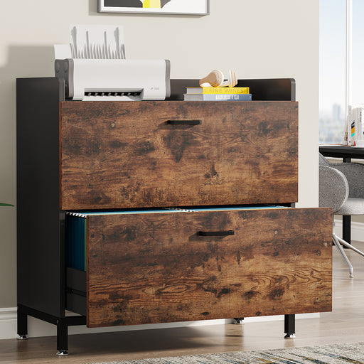 File Cabinet, 2 Drawer Lateral Filing Organization Storage Cabinet Tribesigns