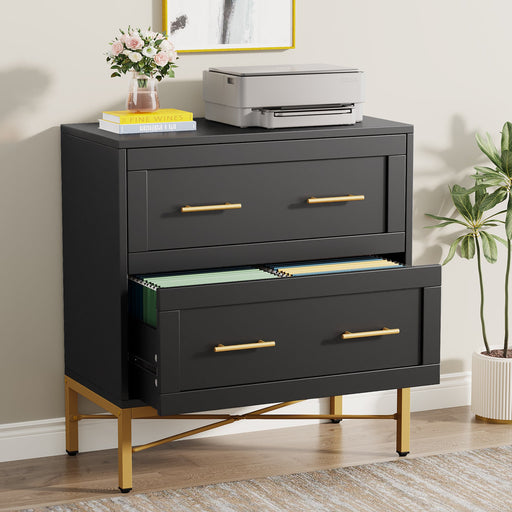 2-Drawer File Cabinet, Lateral Storage Cabinet Printer Stand Tribesigns