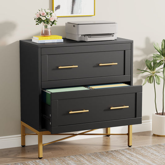 2-Drawer File Cabinet, Lateral Storage Cabinet Printer Stand Tribesigns