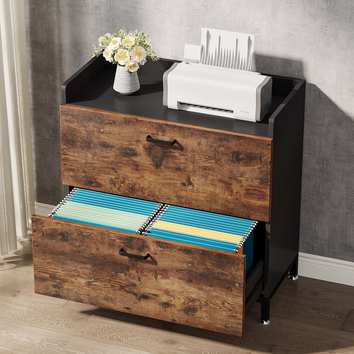 File Cabinet, 2 Drawer Lateral Filing Organization Storage Cabinet Tribesigns
