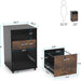 File Cabinet, 2-Drawer Mobile Printer Stand with Lock Tribesigns
