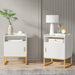 Nightstand, Modern Bedside Table with Cabinet and Storage Shelf Tribesigns