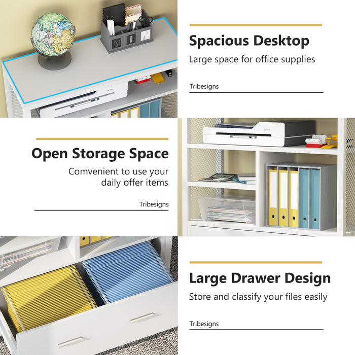 File Cabinet, Lateral File Cabinet with Drawer for Letter Size Tribesigns