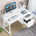 Tribesigns Computer Desk, White Study Table with with Monitor Stand ＆ Drawers Tribesigns