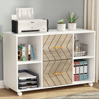 2 Drawer File Cabinet, Large Mobile Filing Cabinet for Letter Size Tribesigns