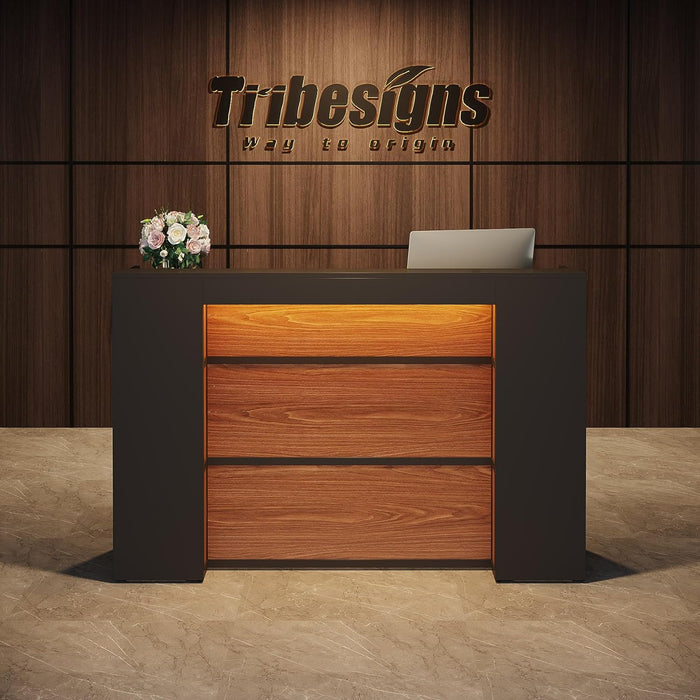 Modern Reception Desk, Large Counter Table Front Desk with LED Lights Tribesigns