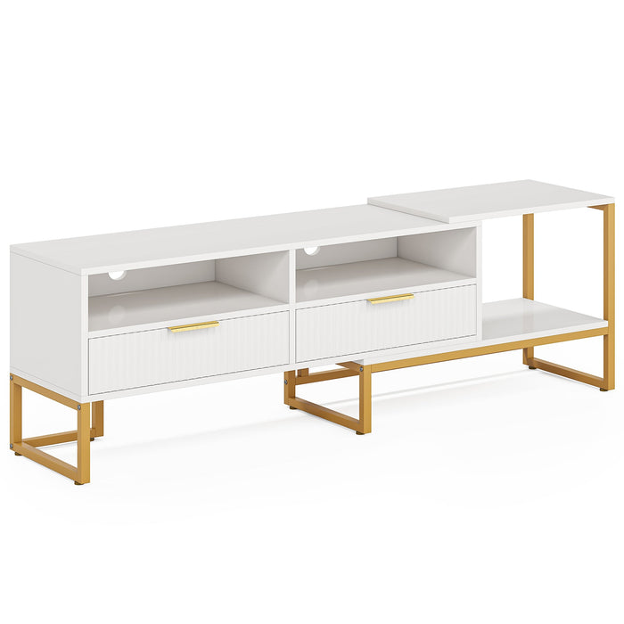 Modern TV Stand, 63" Media Console with 2 Drawers and Shelves Tribesigns